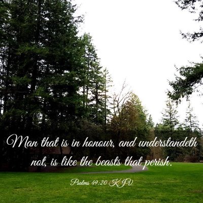 Picture 03 - Psalms 49:20 KJV - Man that is in honour, and understandeth not, is - Bible Verse Picture