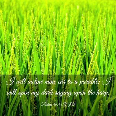 Picture 03 - Psalms 49:4 KJV - I will incline mine ear to a parable: I will open - Bible Verse Picture