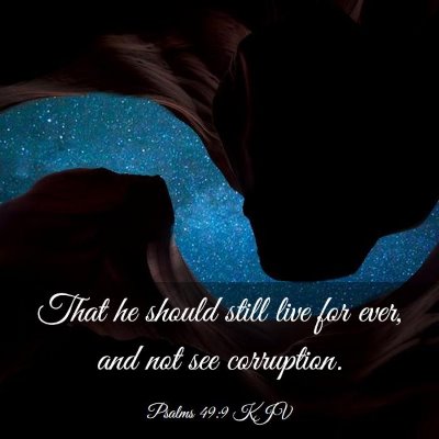 Picture 03 - Psalms 49:9 KJV - That he should still live for ever, and not see - Bible Verse Picture