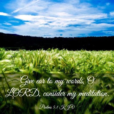 Picture 03 - Psalms 5:1 KJV - Give ear to my words, O LORD, consider my - Bible Verse Picture