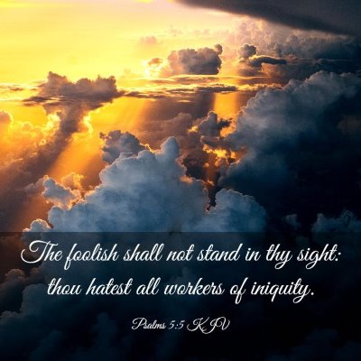Picture 03 - Psalms 5:5 KJV - The foolish shall not stand in thy sight: thou - Bible Verse Picture
