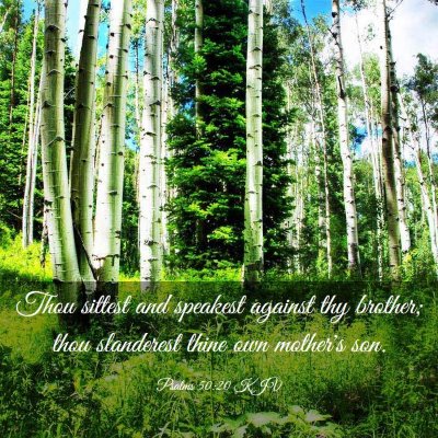 Picture 03 - Psalms 50:20 KJV - Thou sittest and speakest against thy brother; - Bible Verse Picture