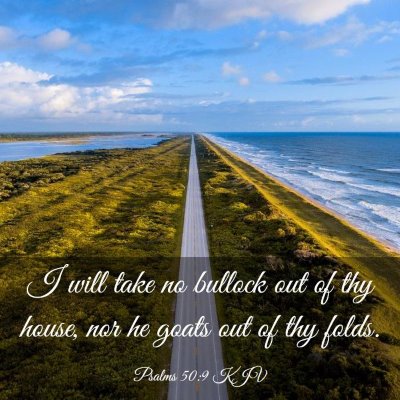 Picture 03 - Psalms 50:9 KJV - I will take no bullock out of thy house, nor he - Bible Verse Picture