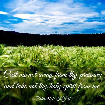 Picture 03 - Psalms 51:11 KJV - Cast me not away from thy presence; and take not - Bible Verse Picture