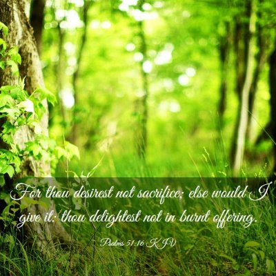 Picture 03 - Psalms 51:16 KJV - For thou desirest not sacrifice; else would I - Bible Verse Picture