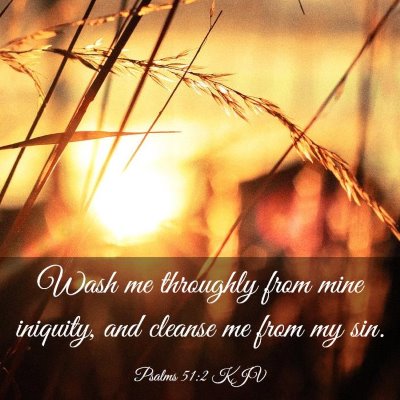 Picture 03 - Psalms 51:2 KJV - Wash me throughly from mine iniquity, and cleanse - Bible Verse Picture