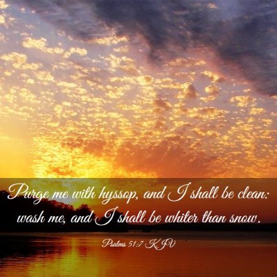 Picture 03 - Psalms 51:7 KJV - Purge me with hyssop, and I shall be clean: wash - Bible Verse Picture
