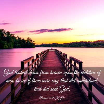 Picture 03 - Psalms 53:2 KJV - God looked down from heaven upon the children of - Bible Verse Picture