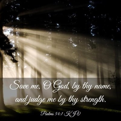 Picture 03 - Psalms 54:1 KJV - Save me, O God, by thy name, and judge me by thy - Bible Verse Picture