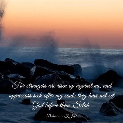 Picture 03 - Psalms 54:3 KJV - For strangers are risen up against me, and - Bible Verse Picture