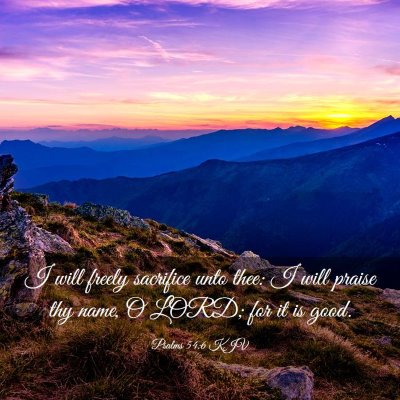 Picture 03 - Psalms 54:6 KJV - I will freely sacrifice unto thee: I will praise - Bible Verse Picture