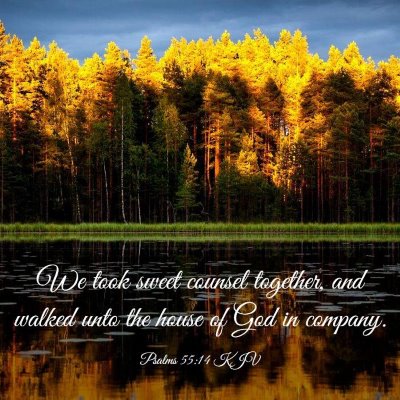 Picture 03 - Psalms 55:14 KJV - We took sweet counsel together, and walked unto - Bible Verse Picture