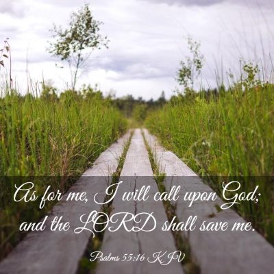Picture 03 - Psalms 55:16 KJV - As for me, I will call upon God; and the LORD - Bible Verse Picture