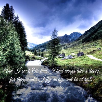 Picture 03 - Psalms 55:6 KJV - And I said, Oh that I had wings like a dove! for - Bible Verse Picture