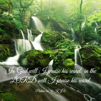 Picture 03 - Psalms 56:10 KJV - In God will I praise his word: in the LORD will I - Bible Verse Picture