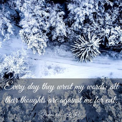 Picture 03 - Psalms 56:5 KJV - Every day they wrest my words: all their thoughts - Bible Verse Picture