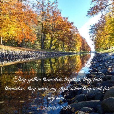 Picture 03 - Psalms 56:6 KJV - They gather themselves together, they hide - Bible Verse Picture