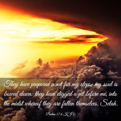 Picture 03 - Psalms 57:6 KJV - They have prepared a net for my steps; my soul is - Bible Verse Picture