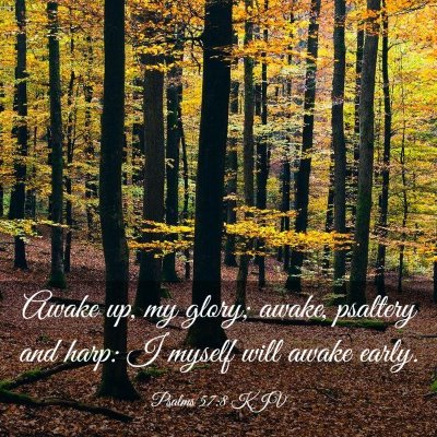 Picture 03 - Psalms 57:8 KJV - Awake up, my glory; awake, psaltery and harp: I - Bible Verse Picture