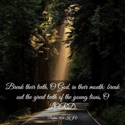 Picture 03 - Psalms 58:6 KJV - Break their teeth, O God, in their mouth: break - Bible Verse Picture