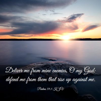 Picture 03 - Psalms 59:1 KJV - Deliver me from mine enemies, O my God: defend me - Bible Verse Picture