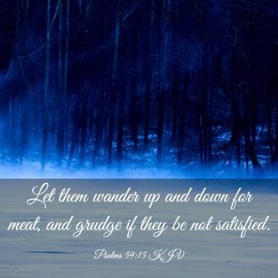 Picture 03 - Psalms 59:15 KJV - Let them wander up and down for meat, and grudge - Bible Verse Picture