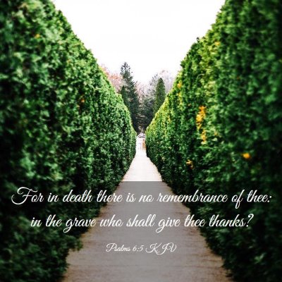 Picture 03 - Psalms 6:5 KJV - For in death there is no remembrance of thee: in - Bible Verse Picture