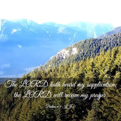 Picture 03 - Psalms 6:9 KJV - The LORD hath heard my supplication; the LORD - Bible Verse Picture