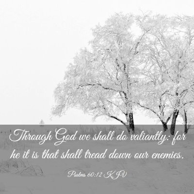 Picture 03 - Psalms 60:12 KJV - Through God we shall do valiantly: for he it is - Bible Verse Picture