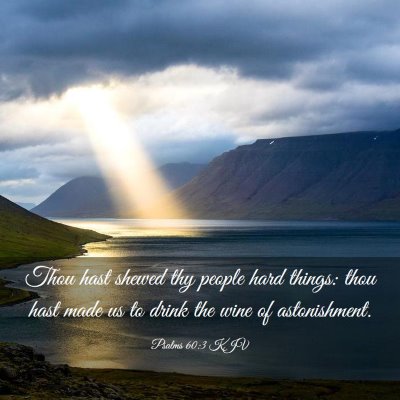 Picture 03 - Psalms 60:3 KJV - Thou hast shewed thy people hard things: thou - Bible Verse Picture