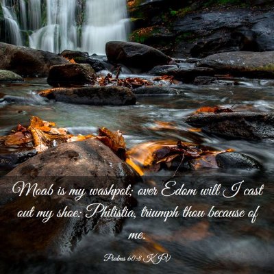 Picture 03 - Psalms 60:8 KJV - Moab is my washpot; over Edom will I cast out my - Bible Verse Picture