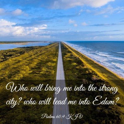 Picture 03 - Psalms 60:9 KJV - Who will bring me into the strong city? who will - Bible Verse Picture