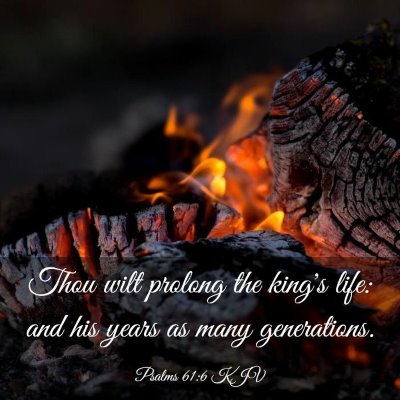 Picture 03 - Psalms 61:6 KJV - Thou wilt prolong the king's life: and his years - Bible Verse Picture