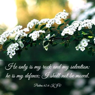 Picture 03 - Psalms 62:6 KJV - He only is my rock and my salvation: he is my - Bible Verse Picture