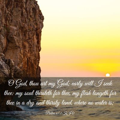 Picture 03 - Psalms 63:1 KJV - O God, thou art my God; early will I seek thee: - Bible Verse Picture