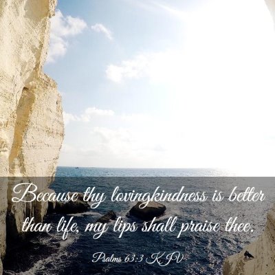 Picture 03 - Psalms 63:3 KJV - Because thy lovingkindness is better than life, - Bible Verse Picture