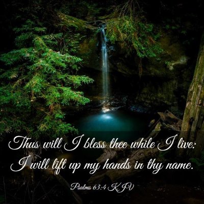 Picture 03 - Psalms 63:4 KJV - Thus will I bless thee while I live: I will lift - Bible Verse Picture