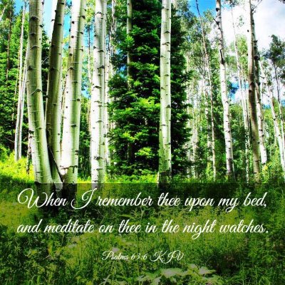 Picture 03 - Psalms 63:6 KJV - When I remember thee upon my bed, and meditate on - Bible Verse Picture