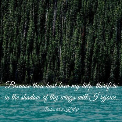 Picture 03 - Psalms 63:7 KJV - Because thou hast been my help, therefore in the - Bible Verse Picture