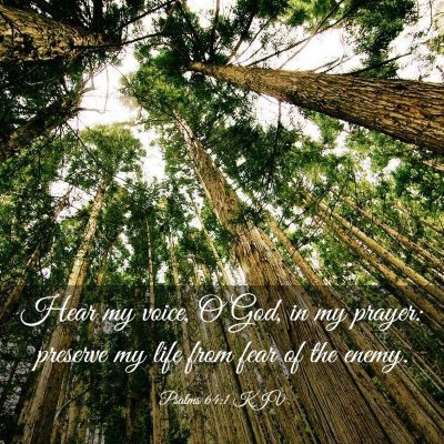 Picture 03 - Psalms 64:1 KJV - Hear my voice, O God, in my prayer: preserve my - Bible Verse Picture