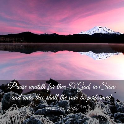 Picture 03 - Psalms 65:1 KJV - Praise waiteth for thee, O God, in Sion: and unto - Bible Verse Picture