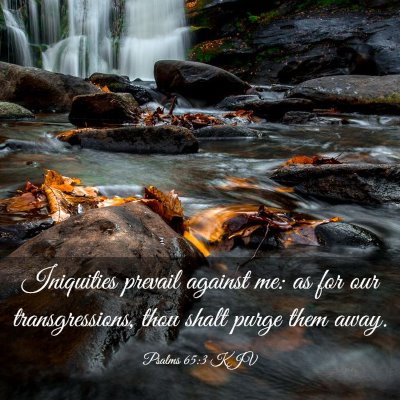 Picture 03 - Psalms 65:3 KJV - Iniquities prevail against me: as for our - Bible Verse Picture