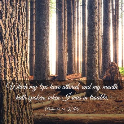 Picture 03 - Psalms 66:14 KJV - Which my lips have uttered, and my mouth hath - Bible Verse Picture