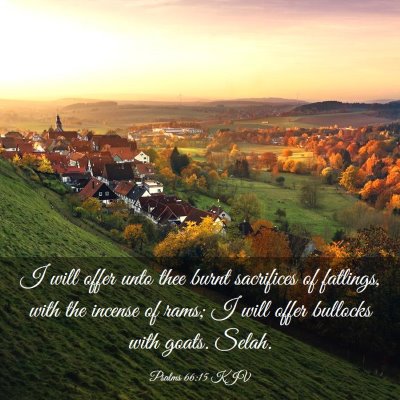 Picture 03 - Psalms 66:15 KJV - I will offer unto thee burnt sacrifices of - Bible Verse Picture