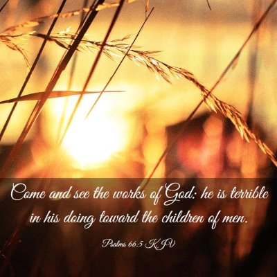 Picture 03 - Psalms 66:5 KJV - Come and see the works of God: he is terrible in - Bible Verse Picture