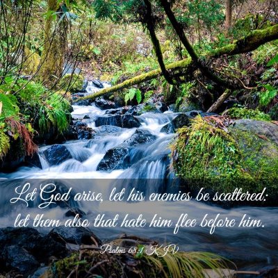 Picture 03 - Psalms 68:1 KJV - Let God arise, let his enemies be scattered: let - Bible Verse Picture