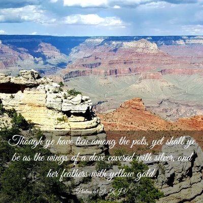 Picture 03 - Psalms 68:13 KJV - Though ye have lien among the pots, yet shall ye - Bible Verse Picture
