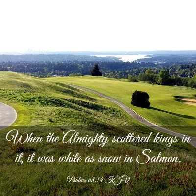 Picture 03 - Psalms 68:14 KJV - When the Almighty scattered kings in it, it was - Bible Verse Picture