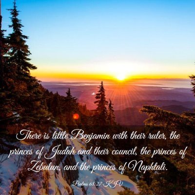 Picture 03 - Psalms 68:27 KJV - There is little Benjamin with their ruler, the - Bible Verse Picture