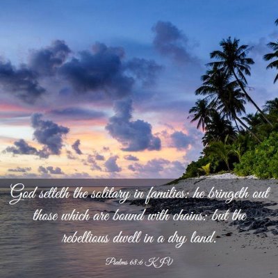Picture 03 - Psalms 68:6 KJV - God setteth the solitary in families: he bringeth - Bible Verse Picture